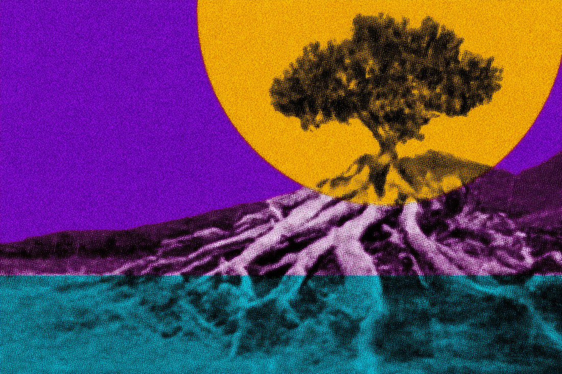 Poezja Permanentności: Dlaczego Trwałość to Najwyższa Forma Zrównoważonego Rozwoju