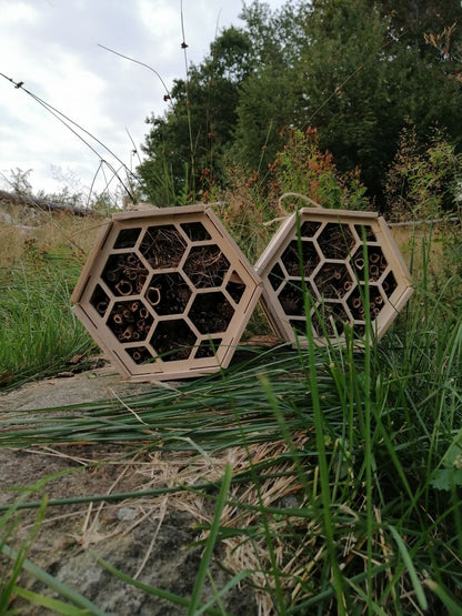 A sanctuary for bees and other pollinating insects