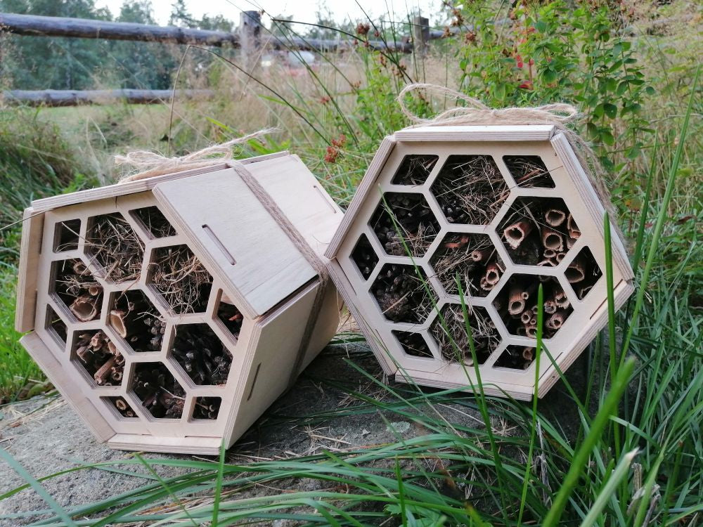 A sanctuary for bees and other pollinating insects