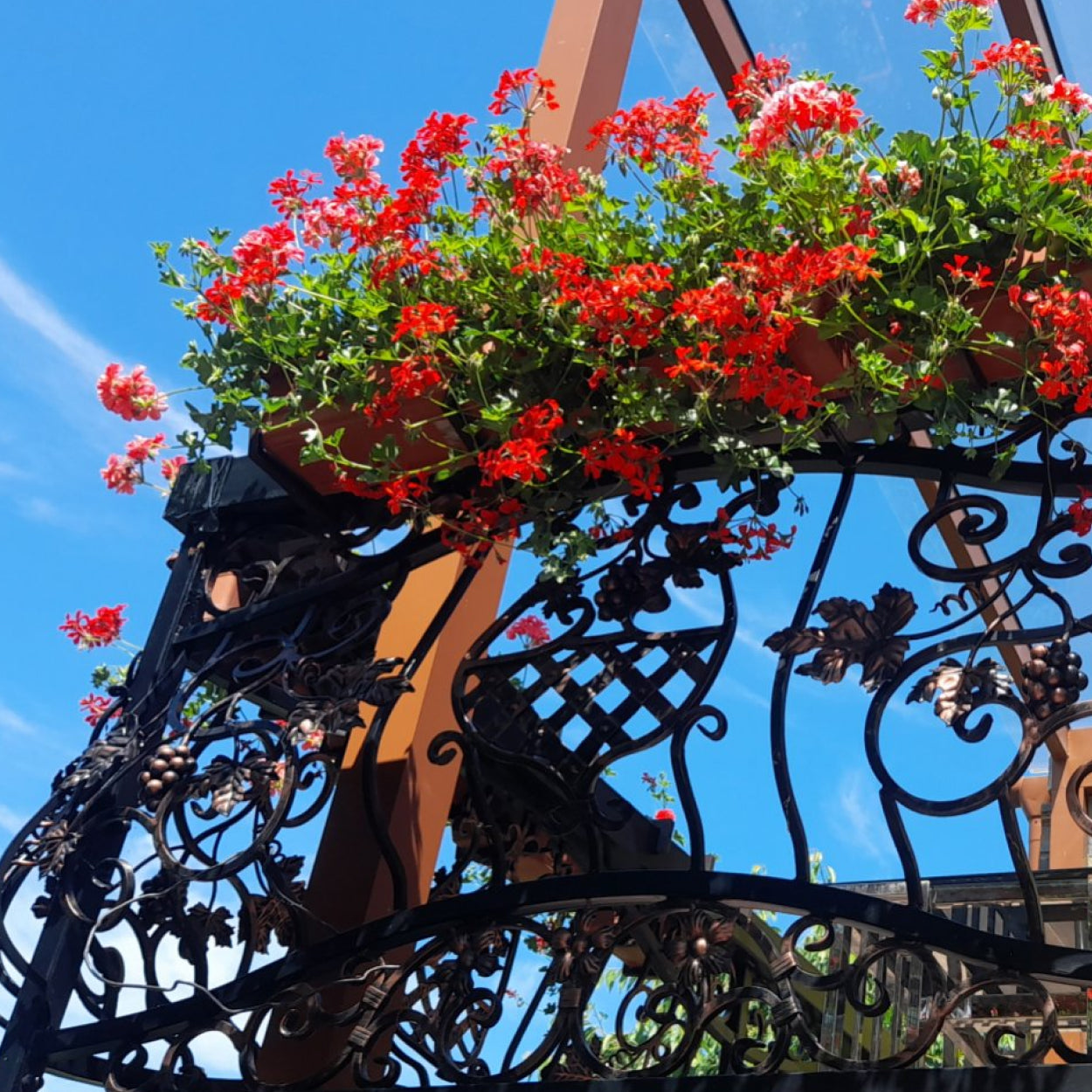 Ozdobna rozeta kuta ze stali do balustrad, bram, ogrodzeń. Herb dekoracyjny.